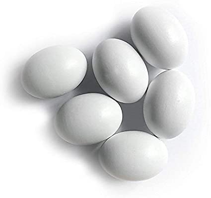 Solid Plastic Pigeon Eggs Wooden Pigeon Eggs