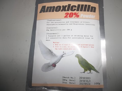 Amoxicillinum 20% pdr (100 grams) 