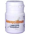 Amoxicillinum Tablets, 2.5 mg 