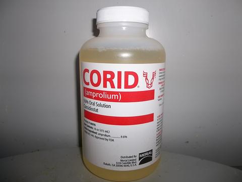 Corid (Amprol), Oral Solution Corid Liquid (Amprol) 16oz.