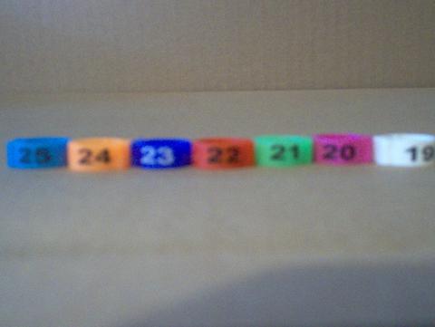 Numbered E-Z Clip Bands - Pink Numbered E-Z Clip Bands (1-25)
