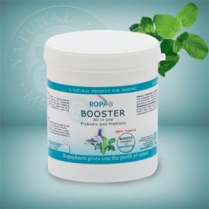 Ropa-B BOOSTER Ropa-B BOOSTER "All in One" Probiotic & Prebiotic 30 grams