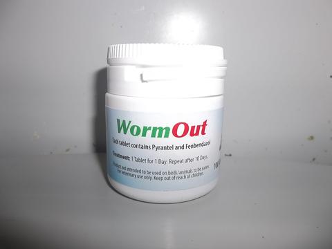 WormOut Tablets WormOut tablets